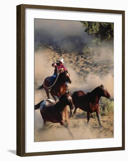 Cowboy Roping Horses-John Luke-Framed Premium Photographic Print