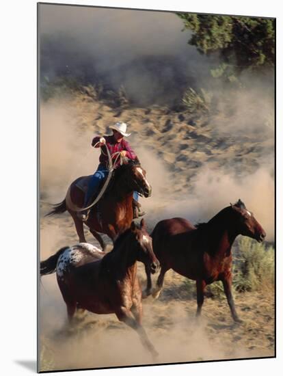 Cowboy Roping Horses-John Luke-Mounted Premium Photographic Print