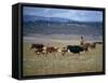 Cowboy Rounding Up Cattle, Diamond Ranch, New Mexico, United States of America, North America-Woolfitt Adam-Framed Stretched Canvas