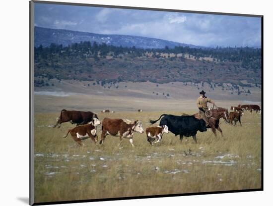 Cowboy Rounding Up Cattle, Diamond Ranch, New Mexico, United States of America, North America-Woolfitt Adam-Mounted Photographic Print