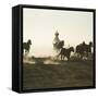 Cowboy Rounding up Quarter Horses-DLILLC-Framed Stretched Canvas