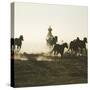 Cowboy Rounding up Quarter Horses-DLILLC-Stretched Canvas