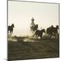 Cowboy Rounding up Quarter Horses-DLILLC-Mounted Photographic Print