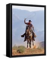 Cowboy Running with Rope Lassoo in Hand, Flitner Ranch, Shell, Wyoming, USA-Carol Walker-Framed Stretched Canvas