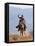 Cowboy Running with Rope Lassoo in Hand, Flitner Ranch, Shell, Wyoming, USA-Carol Walker-Framed Stretched Canvas