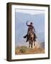 Cowboy Running with Rope Lassoo in Hand, Flitner Ranch, Shell, Wyoming, USA-Carol Walker-Framed Photographic Print