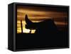 Cowboy's Boot and Spur Silhouetted at Sunrise-Darrell Gulin-Framed Stretched Canvas