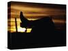 Cowboy's Boot and Spur Silhouetted at Sunrise-Darrell Gulin-Stretched Canvas