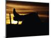 Cowboy's Boot and Spur Silhouetted at Sunrise-Darrell Gulin-Mounted Photographic Print