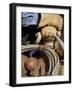 Cowboy's Gloved Hands, Ponderosa Ranch, Seneca, Oregon, USA-Wendy Kaveney-Framed Photographic Print