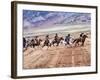 Cowboy's in Motion across the Field-Terry Eggers-Framed Photographic Print