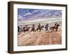 Cowboy's in Motion across the Field-Terry Eggers-Framed Photographic Print