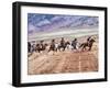 Cowboy's in Motion across the Field-Terry Eggers-Framed Photographic Print