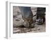 Cowboy's Spurs. Sombrero Ranch, Craig, Colorado-Carol Walker-Framed Photographic Print