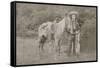 Cowboy Scout "Wild Burt," ca. 1880s.-Smith of Cooperstown-Framed Stretched Canvas