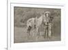 Cowboy Scout "Wild Burt," ca. 1880s.-Smith of Cooperstown-Framed Art Print