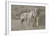 Cowboy Scout "Wild Burt," ca. 1880s.-Smith of Cooperstown-Framed Art Print
