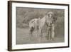 Cowboy Scout "Wild Burt," ca. 1880s.-Smith of Cooperstown-Framed Art Print