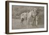 Cowboy Scout "Wild Burt," ca. 1880s.-Smith of Cooperstown-Framed Art Print