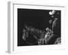 Cowboy Scratchboard I-Julie Chapman-Framed Art Print