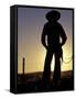 Cowboy Silhouette, Ponderosa Ranch, Seneca, Oregon, USA-Darrell Gulin-Framed Stretched Canvas