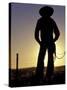 Cowboy Silhouette, Ponderosa Ranch, Seneca, Oregon, USA-Darrell Gulin-Stretched Canvas