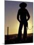 Cowboy Silhouette, Ponderosa Ranch, Seneca, Oregon, USA-Darrell Gulin-Mounted Photographic Print