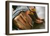 Cowboy Snakeskin Boots and an Antique Suitcase, Santa Fe, New Mexico-Julien McRoberts-Framed Photographic Print