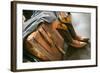 Cowboy Snakeskin Boots and an Antique Suitcase, Santa Fe, New Mexico-Julien McRoberts-Framed Photographic Print