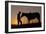 Cowboy Standing with His Horse-Darrell Gulin-Framed Photographic Print