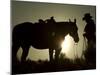 Cowboy With His Horse at Sunset, Ponderosa Ranch, Oregon, USA-Josh Anon-Mounted Photographic Print