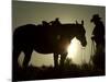 Cowboy With His Horse at Sunset, Ponderosa Ranch, Oregon, USA-Josh Anon-Mounted Photographic Print