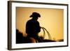 Cowboy with Lasso Silhouette at Small-Town Rodeo. Buyers Note: Image Contains Added Grain to Enhanc-Sascha Burkard-Framed Photographic Print