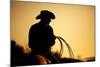 Cowboy with Lasso Silhouette at Small-Town Rodeo. Buyers Note: Image Contains Added Grain to Enhanc-Sascha Burkard-Mounted Photographic Print