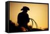 Cowboy with Lasso Silhouette at Small-Town Rodeo. Buyers Note: Image Contains Added Grain to Enhanc-Sascha Burkard-Framed Stretched Canvas