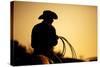 Cowboy with Lasso Silhouette at Small-Town Rodeo. Buyers Note: Image Contains Added Grain to Enhanc-Sascha Burkard-Stretched Canvas