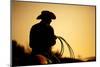 Cowboy with Lasso Silhouette at Small-Town Rodeo. Buyers Note: Image Contains Added Grain to Enhanc-Sascha Burkard-Mounted Photographic Print