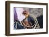 Cowboy-kobby_dagan-Framed Photographic Print