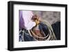 Cowboy-kobby_dagan-Framed Photographic Print