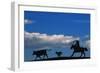 Cowboy-null-Framed Photographic Print