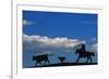 Cowboy-null-Framed Photographic Print