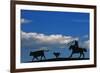 Cowboy-null-Framed Photographic Print