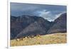 Cowboys and Cowgirls Riding along the Hills of the Big Horn Mountains-Terry Eggers-Framed Photographic Print