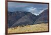 Cowboys and Cowgirls Riding along the Hills of the Big Horn Mountains-Terry Eggers-Framed Photographic Print