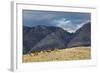 Cowboys and Cowgirls Riding along the Hills of the Big Horn Mountains-Terry Eggers-Framed Photographic Print