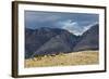 Cowboys and Cowgirls Riding along the Hills of the Big Horn Mountains-Terry Eggers-Framed Photographic Print