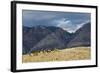 Cowboys and Cowgirls Riding along the Hills of the Big Horn Mountains-Terry Eggers-Framed Photographic Print