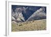 Cowboys and Cowgirls Riding along the Hills of the Big Horn Mountains-Terry Eggers-Framed Photographic Print