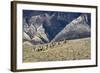 Cowboys and Cowgirls Riding along the Hills of the Big Horn Mountains-Terry Eggers-Framed Photographic Print