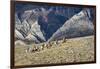 Cowboys and Cowgirls Riding along the Hills of the Big Horn Mountains-Terry Eggers-Framed Photographic Print